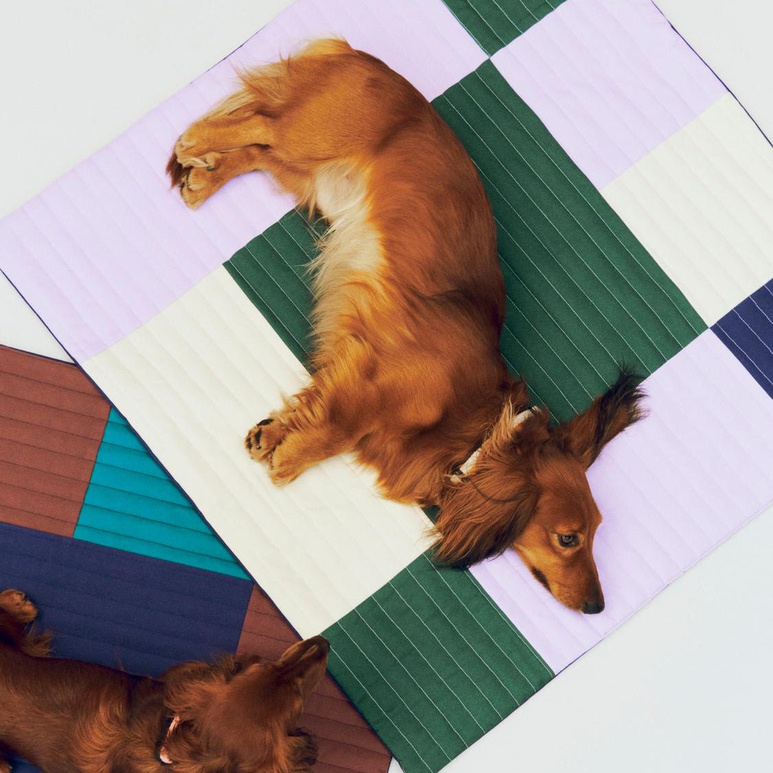 HAY Dogs Travel Blanket in lavender, green, and blue quilted fabric, measuring 80x80 inches, designed for pet comfort and decor.