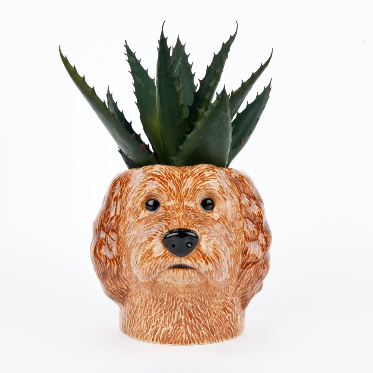 Cockapoo Apricot Stiftebecher