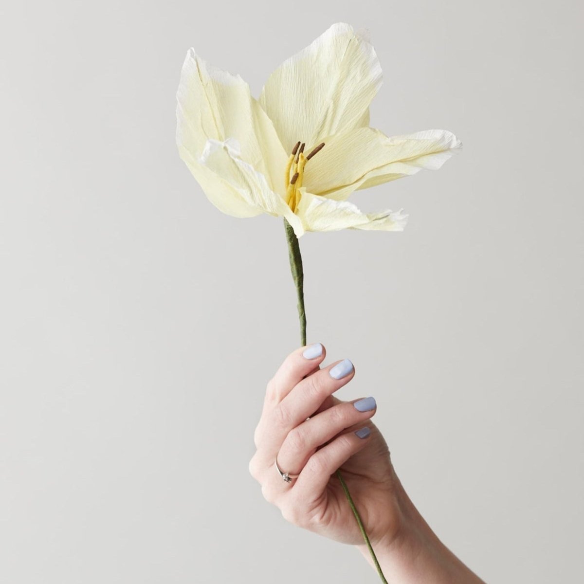 Paper Flower, Lily