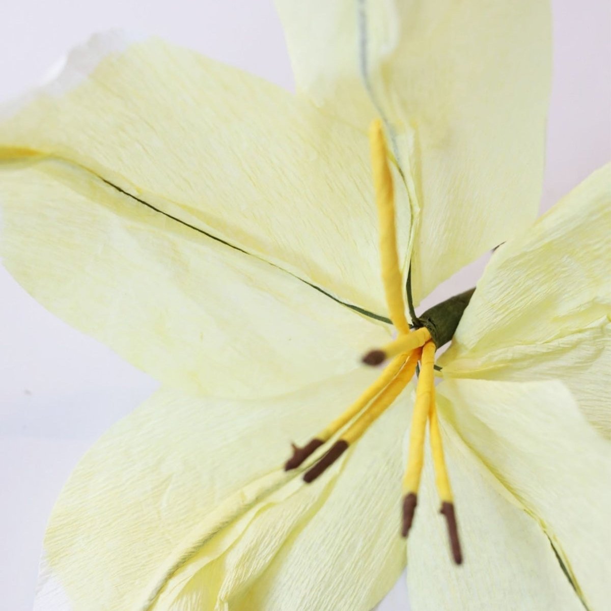 Paper Flower, Lily