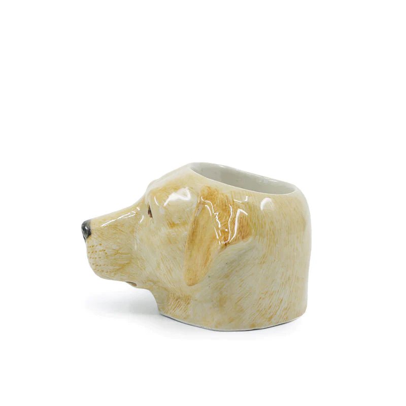 Golden Labrador face egg cup by Quail Ceramics, featuring a detailed, glossy ceramic Labrador dog head design.