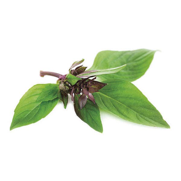 Basil Thai