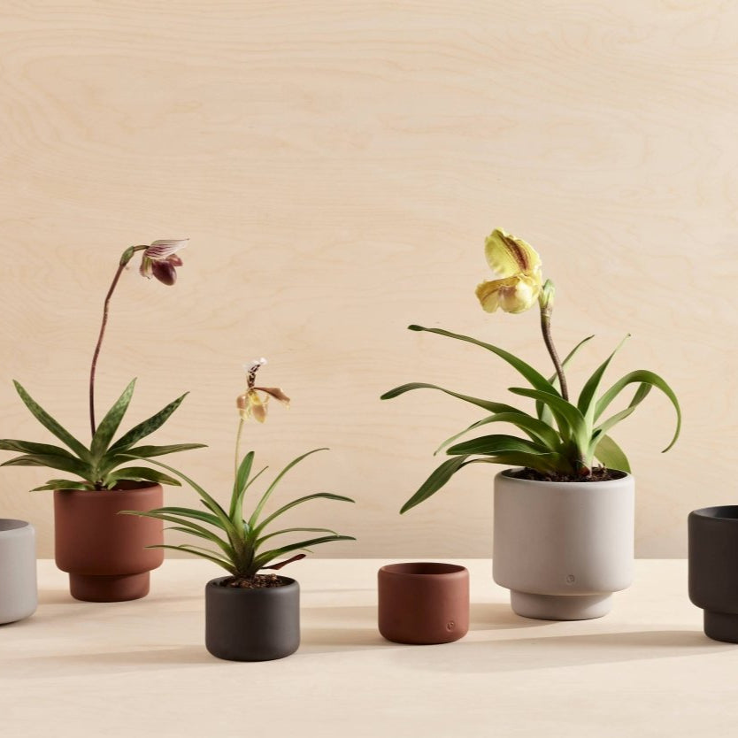 Plant Pot Large: Dark Terracotta