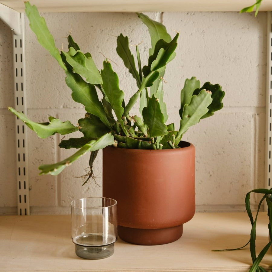 Plant Pot Large: Dark Terracotta