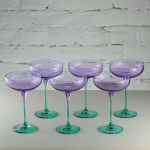 Farbige Champagnerschalen, 6er Set -  Violet Mint