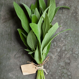 Sage