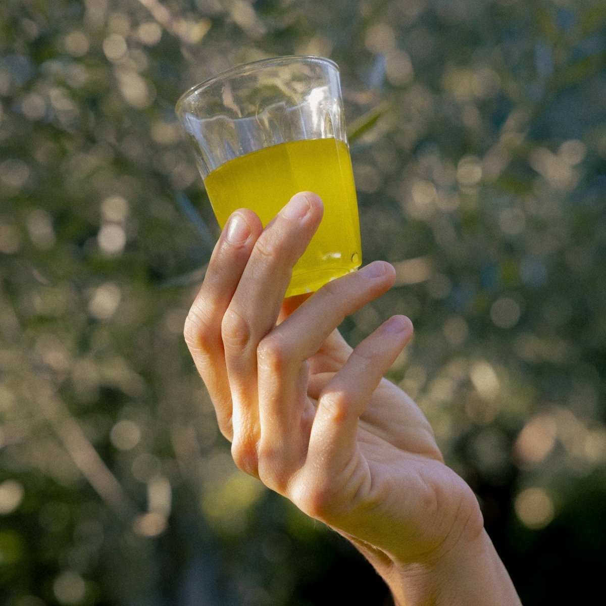 1LTR can extra virgin olive oil - Nov 2025 Harvest