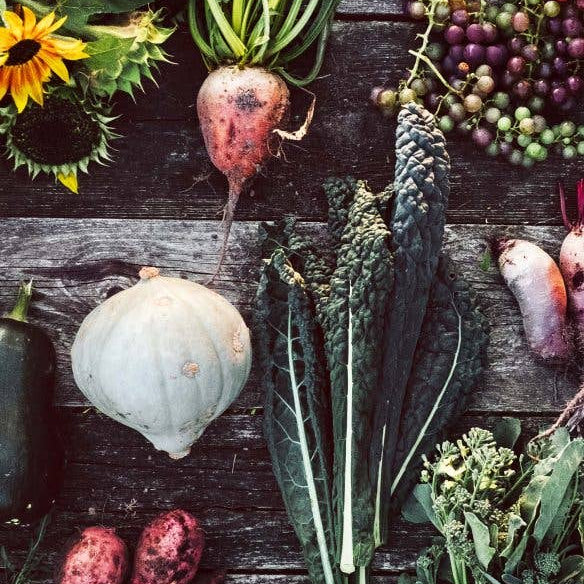 Flower Girls - Deutsch