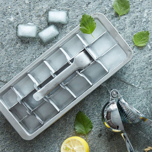 Lift Out Ice Cube Tray