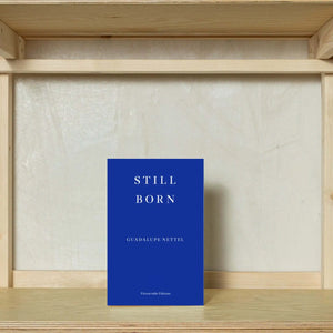 Still Born by Guadalupe Nettel