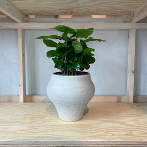 Basiel Pot - Light Grey
