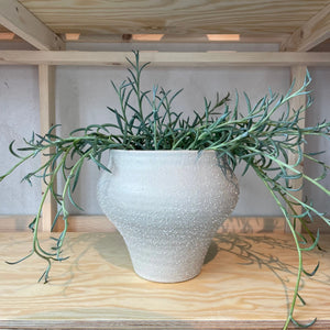Basiel Pot - Light Grey
