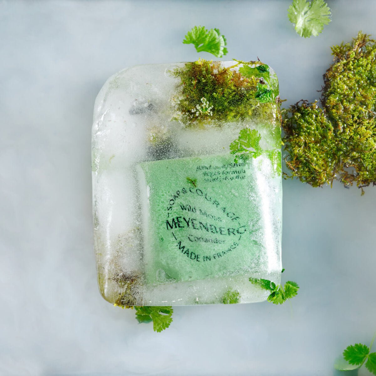 Wild Moss & Coriander Hand Wash 500 ml