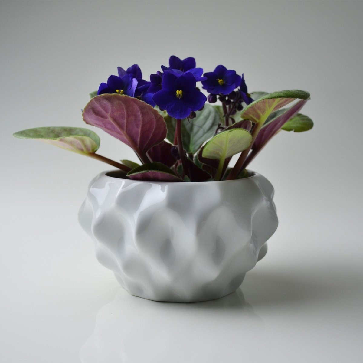 Plissan P Porcelain Pot (h10 cm) - Holaria