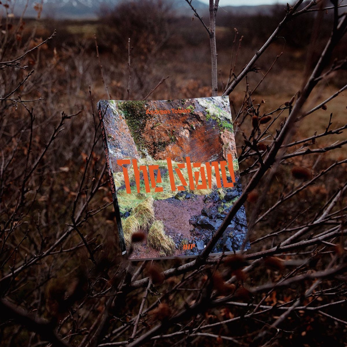 Book titled 'The Island' among bare branches in a desolate landscape