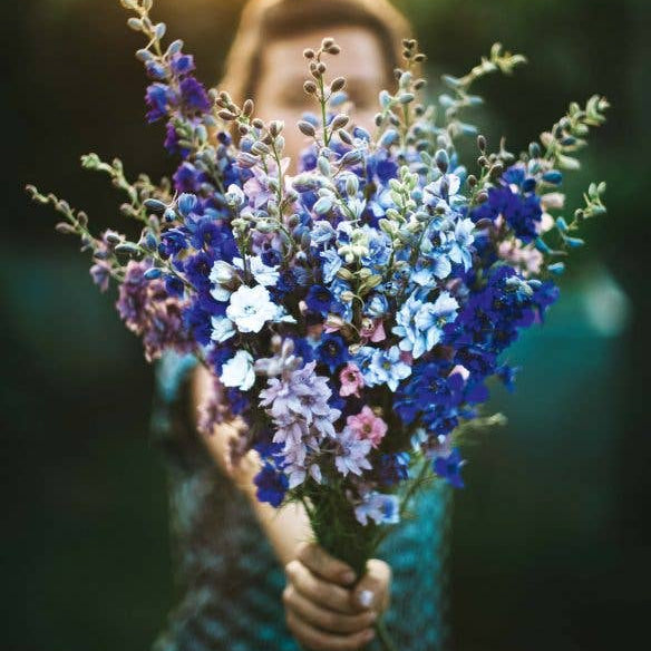 Flower Girls - German