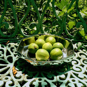 Chrome Bowl - Large