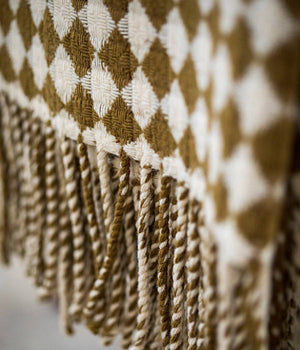 Tilefish: Bronze Blanket