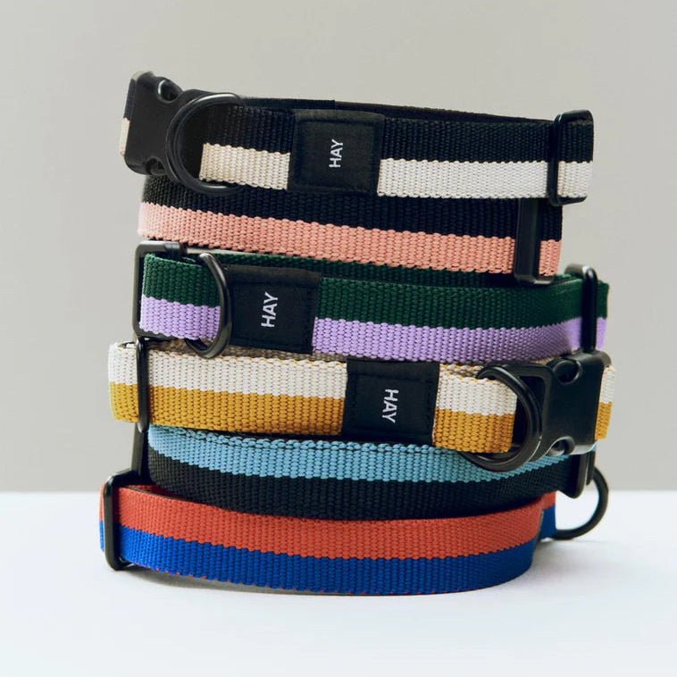 Flat Dog Collar from HAY