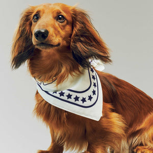 Dog Scarf