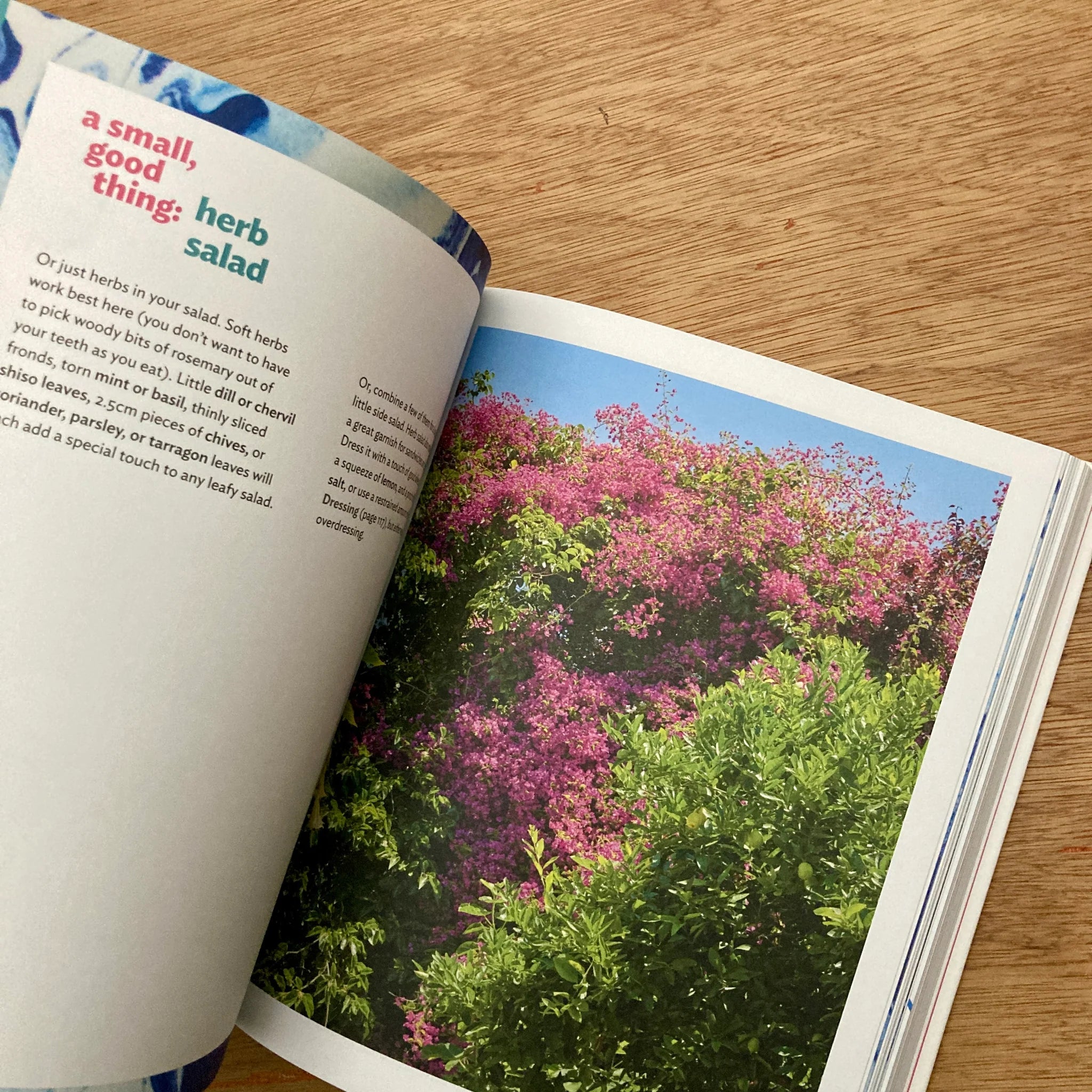 Good Things by Samin Nosrat – A Joyful, Comforting Cookbook