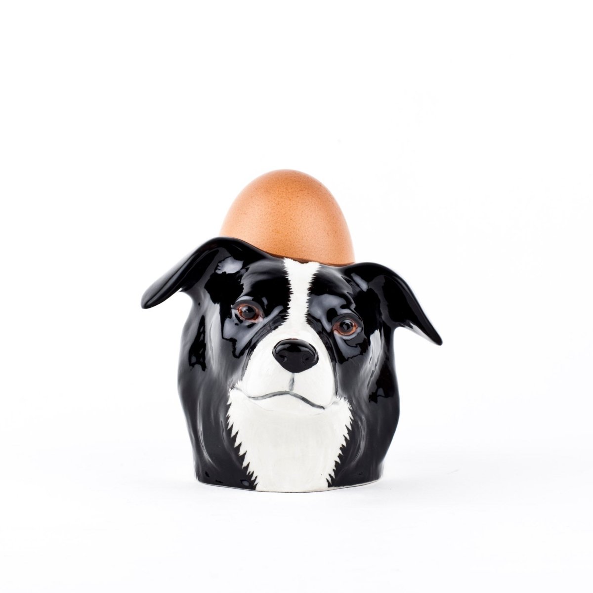 Eierbecher Border Collie