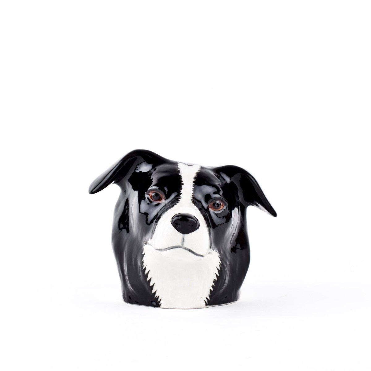 Eierbecher Border Collie