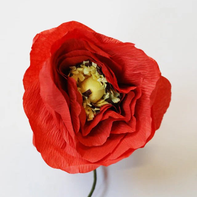 Paper Flower, Ice Poppy