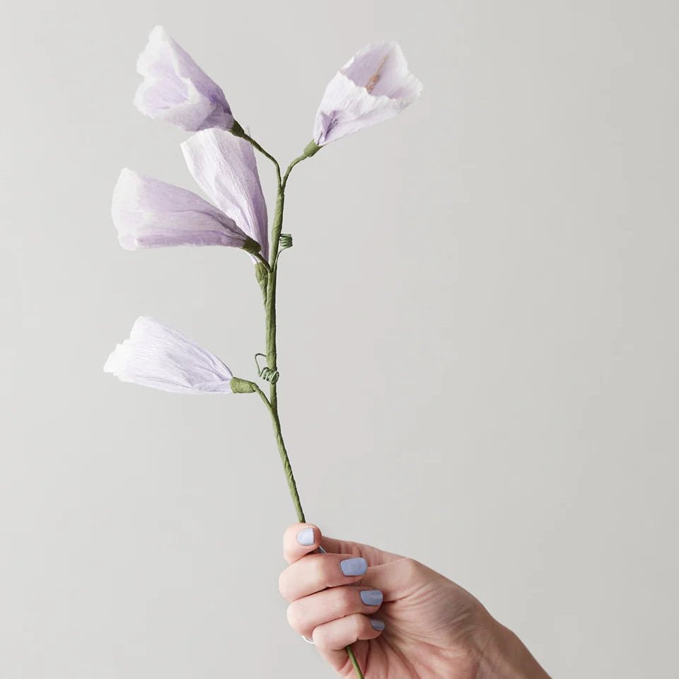 Hand holding a branch with light purple flowers against a plain background