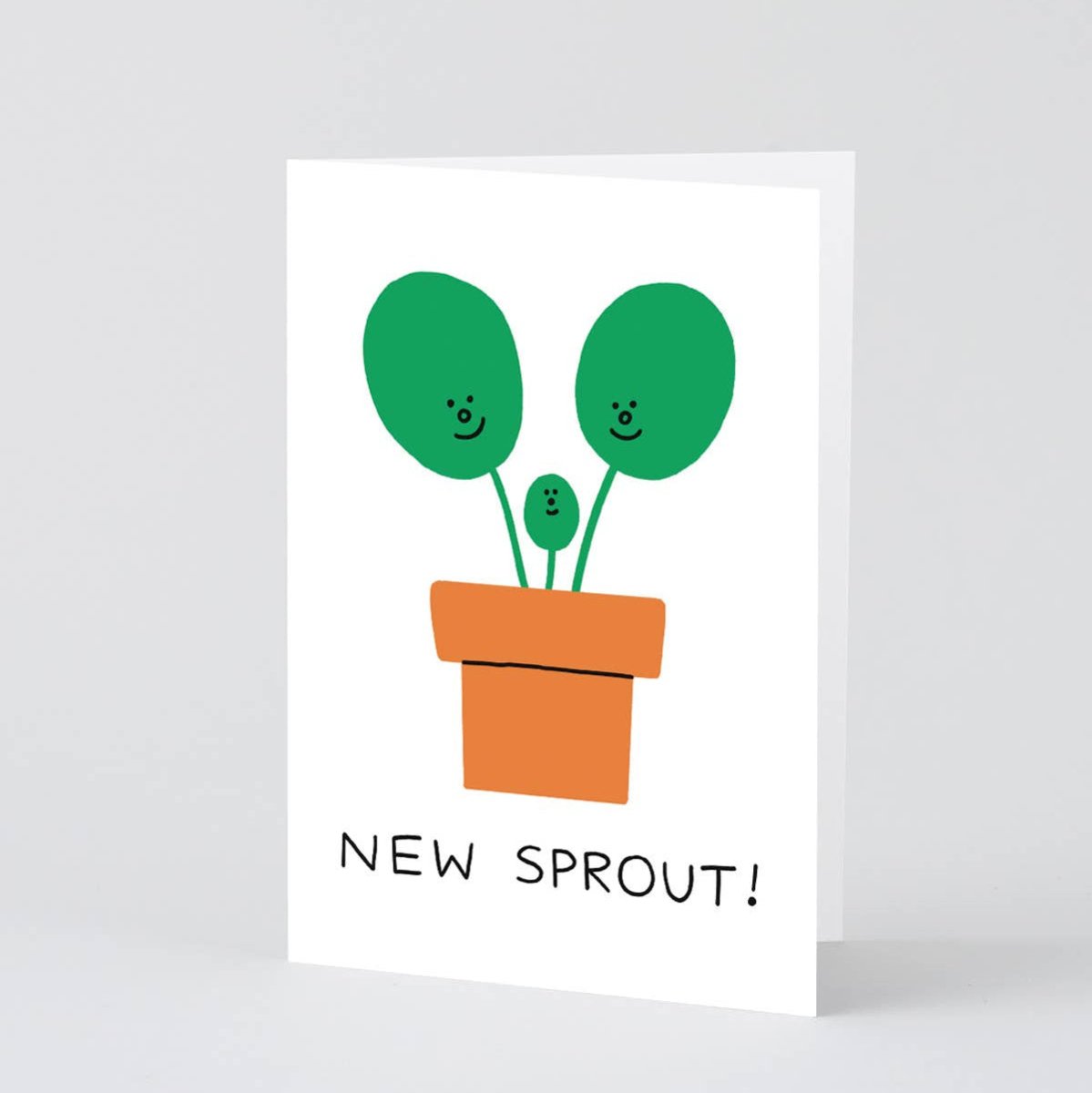 Wrap New Sprout Greetings Card featuring colorful floral design and cheerful message on high-quality paper.