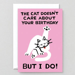 The Cat Doesn’t Care Greetings Card
