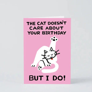 The Cat Doesn’t Care Greetings Card