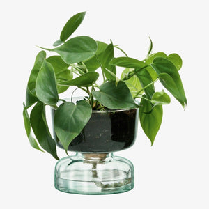 Canopy Self Watering Planter