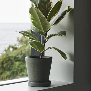 Flowerpot & Saucer Green