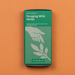 Foraging Wild Herbs Seed Collection