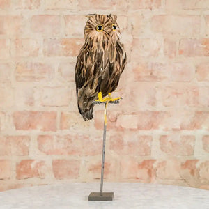 Large Brown Owl