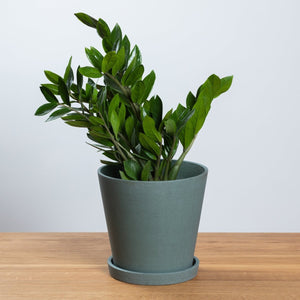 HAY Flowerpot & Saucer Green
