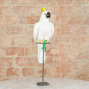 Puebco White Parrot